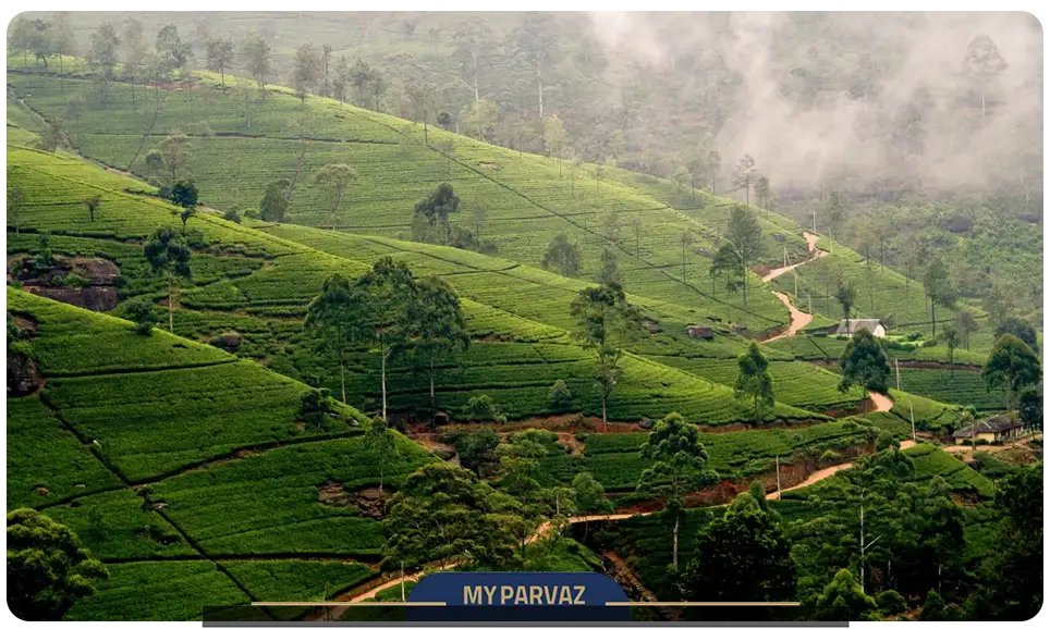 Nuwara Eliya